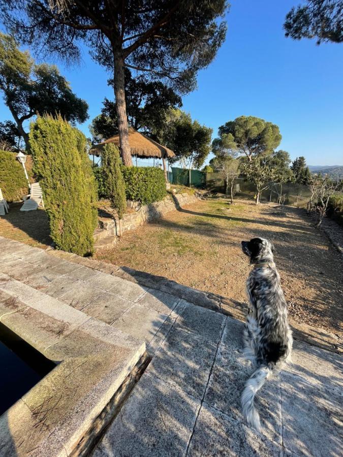 Villa Herlinda Costa Brava - With Swiming Pool Massanet De La Selva Экстерьер фото