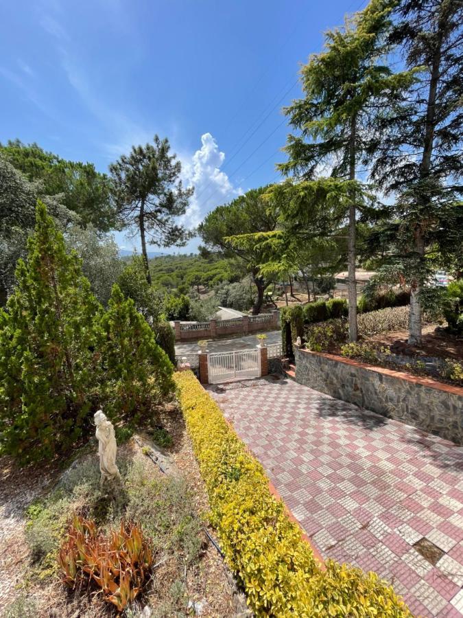 Villa Herlinda Costa Brava - With Swiming Pool Massanet De La Selva Экстерьер фото