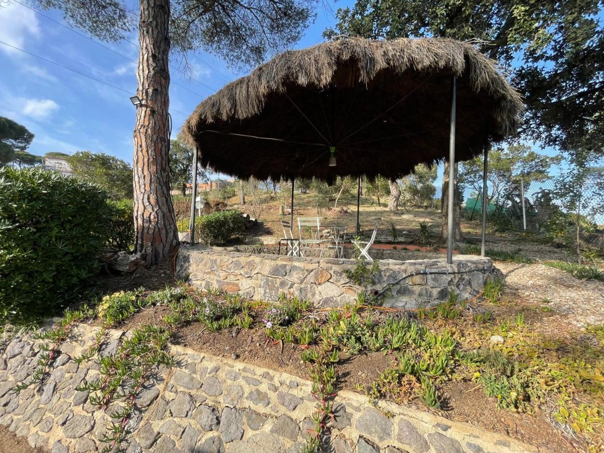 Villa Herlinda Costa Brava - With Swiming Pool Massanet De La Selva Экстерьер фото